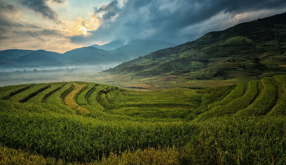 Landscape nature grass mountain