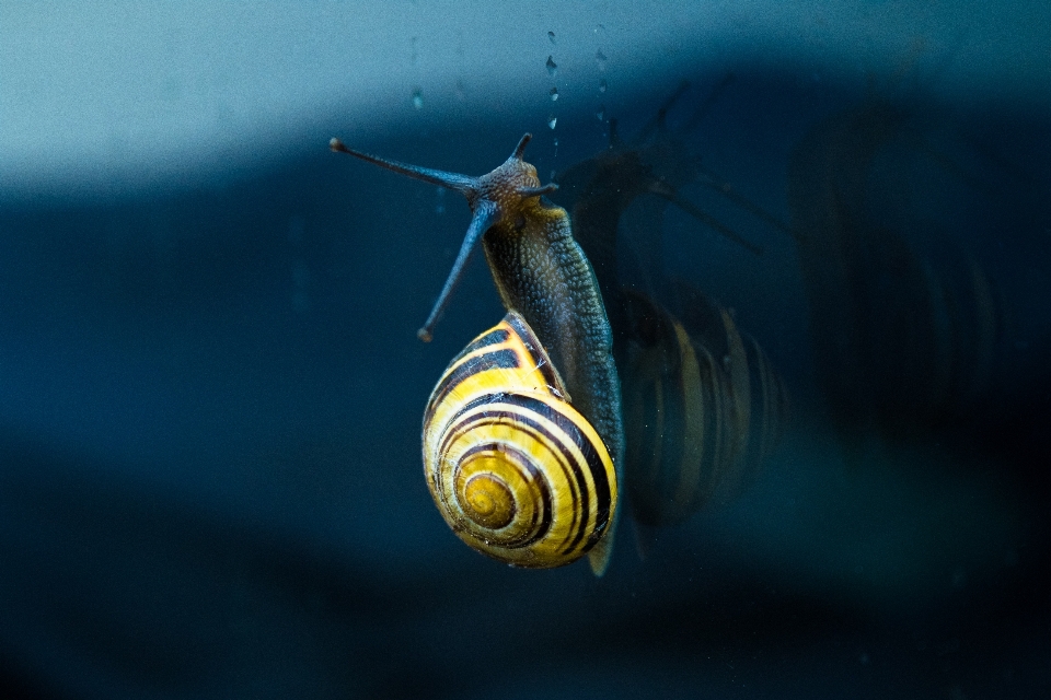 Photography glass underwater green