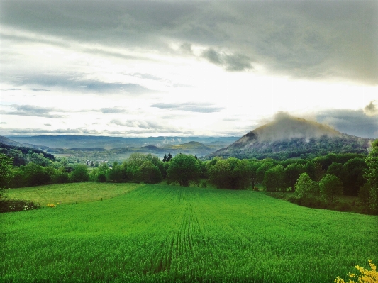 Landscape nature grass cloud Photo