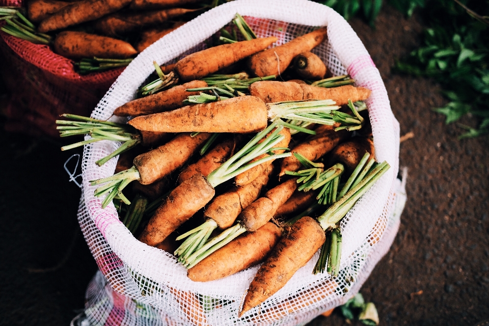 Dish food produce vegetable