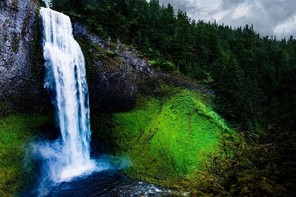 Tree water nature forest Photo