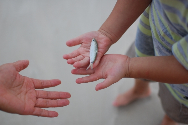 Hand finger child arm Photo