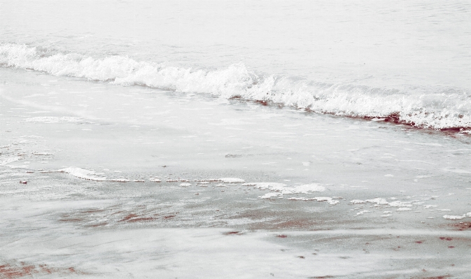 Beach sea coast water Photo