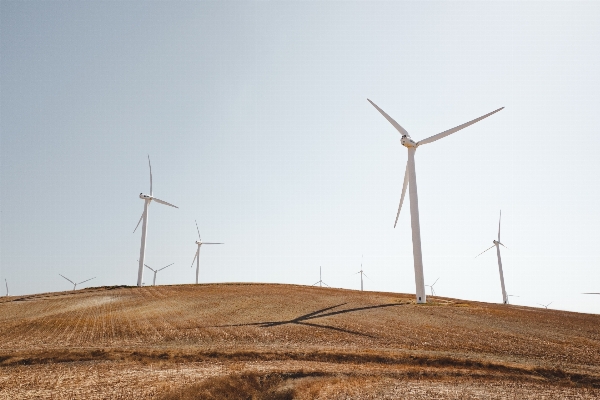 Field prairie windmill wind Photo