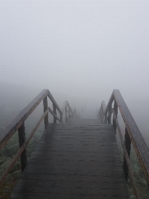 Sea horizon fog sunrise Photo