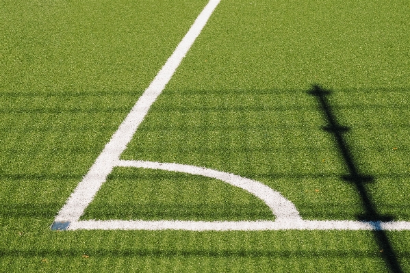 Grass fence structure field Photo