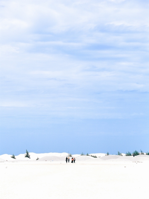 Mer sable montagne neige