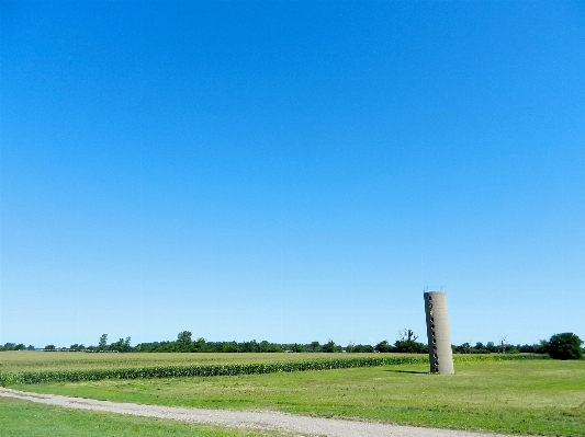 Landscape grass horizon structure Photo