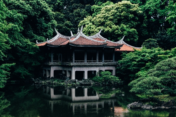 木 邸宅
 家 湖 写真