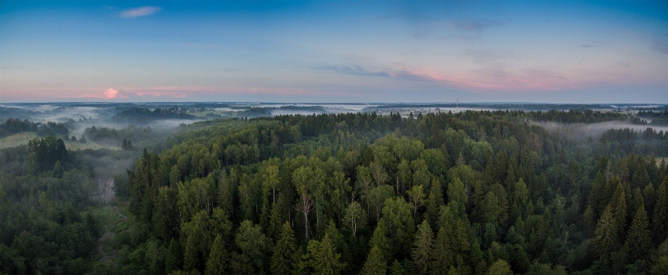 Forest wilderness mountain cloud Photo