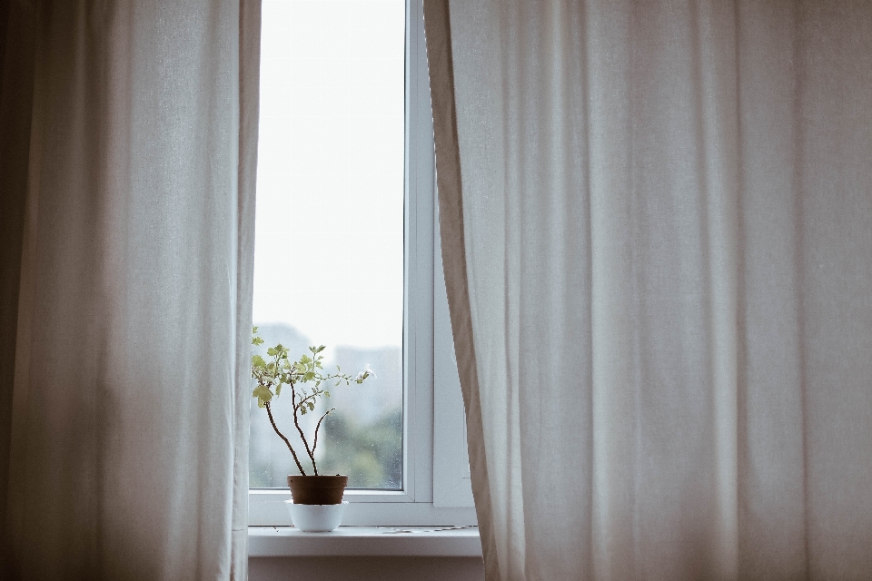 Plant window pot curtain