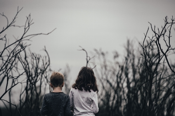 Photo Arbre hiver noir et blanc
 fille