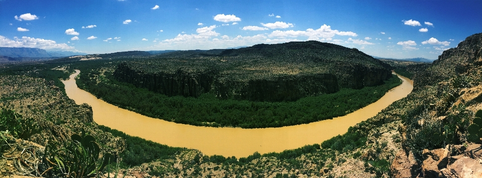 Landscape tree mountain river