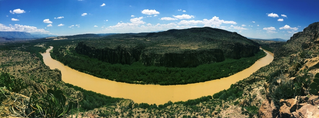 Landscape tree mountain river Photo