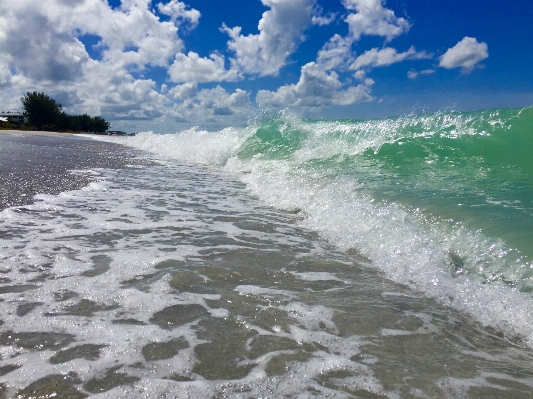 Beach sea coast ocean Photo