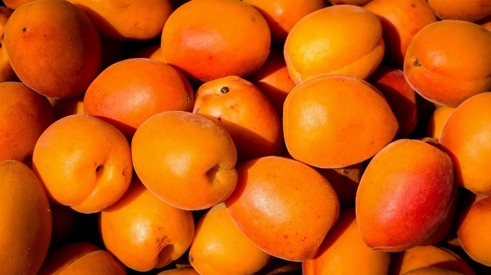 Plant fruit ripe orange Photo