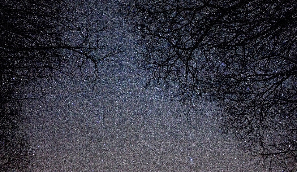 Filial céu noite atmosfera