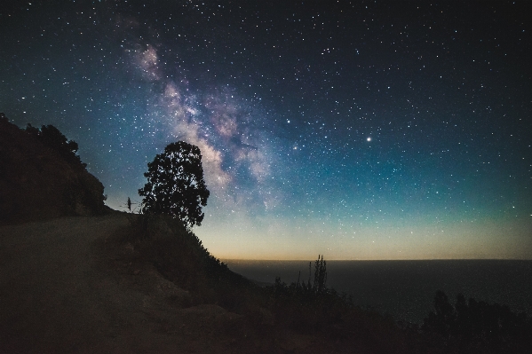 Foto árvore silhueta céu noite