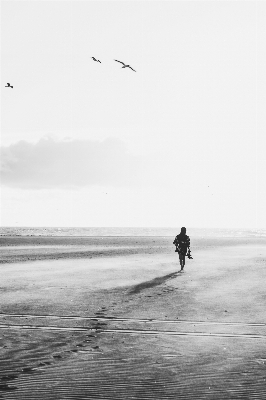 ビーチ 海 海岸 砂 写真