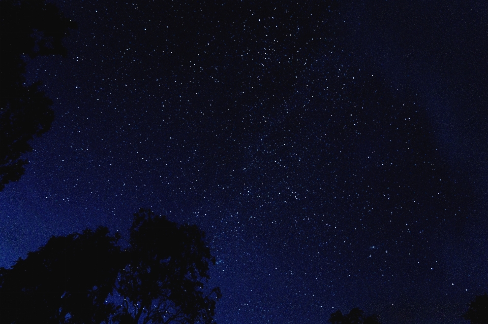 Céu noite estrela atmosfera