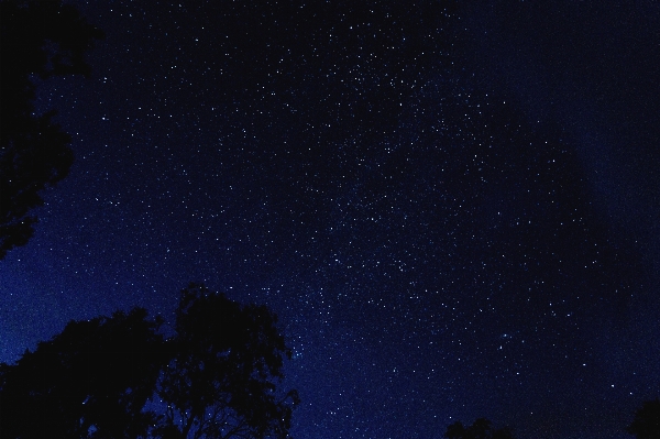 Foto Cielo notte stella atmosfera