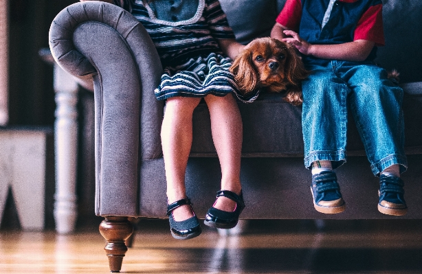 Foto Sepatu fotografi anak anjing