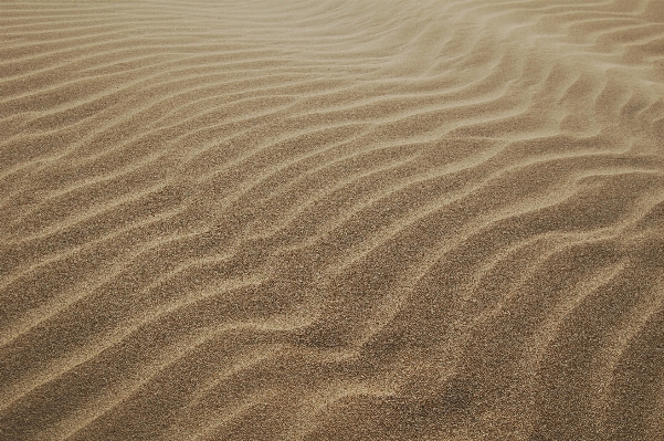 Sand wood texture desert Photo