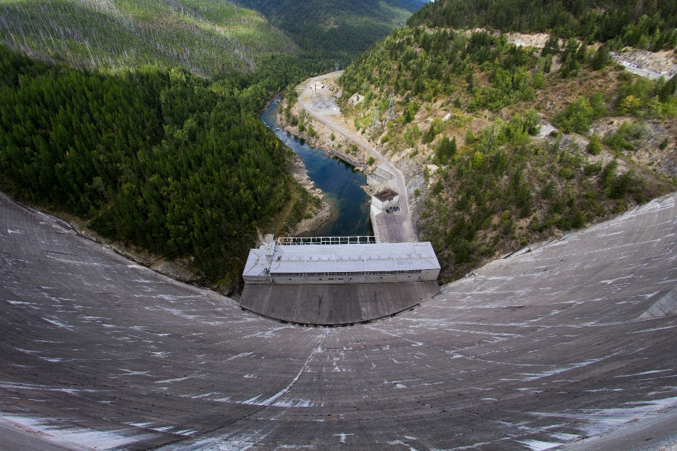 Küste baum wasser wald