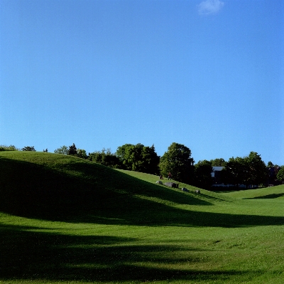 Grass structure sky field Photo