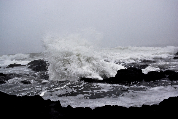 Foto Laut pesisir rock salju