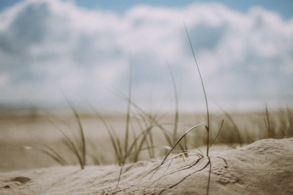 Beach landscape sea nature Photo