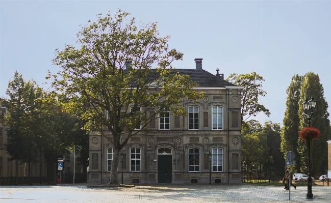 Tree architecture house town Photo