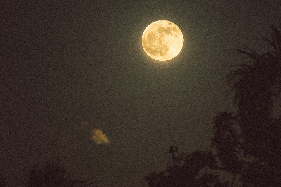 空 夜 雰囲気 月