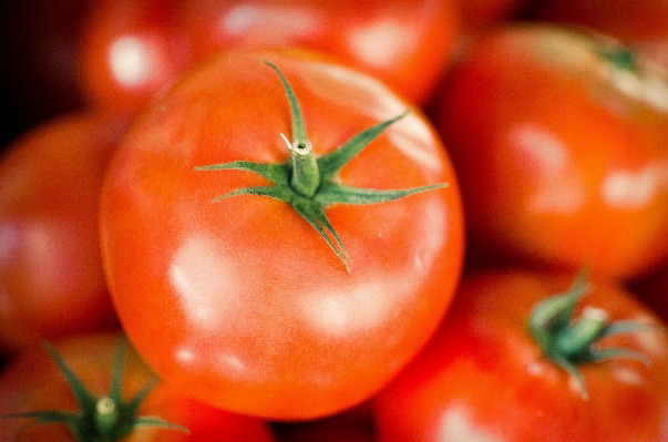 Plant fruit ripe food Photo