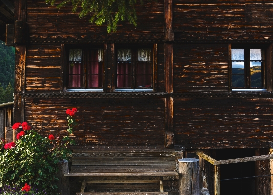 Architecture wood house window Photo