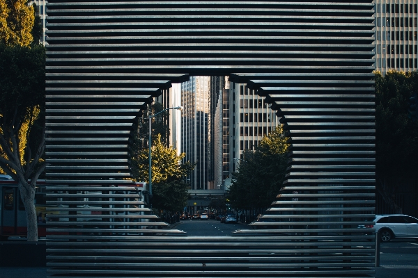 ライト 建築 木 道 写真