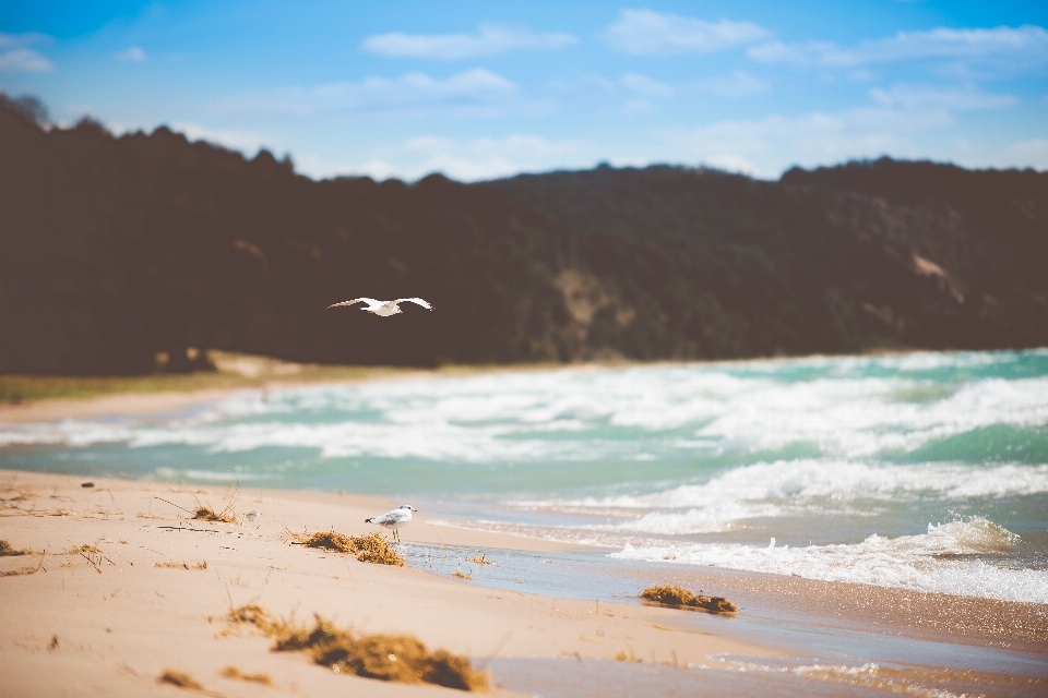 Plage mer côte eau