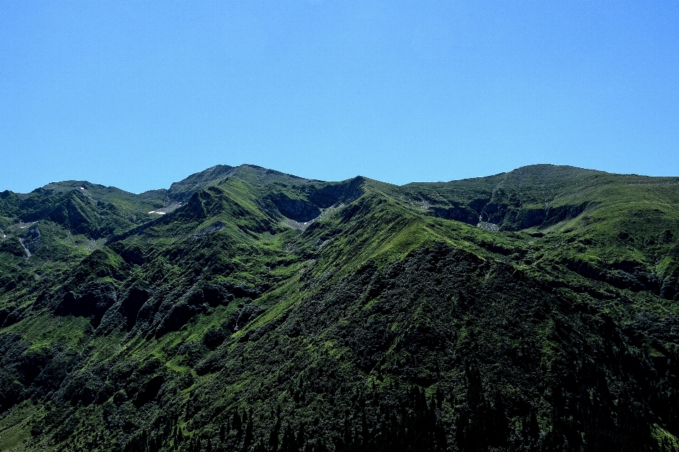 Paisaje árbol naturaleza bosque