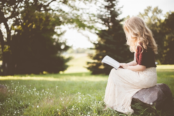 Tree grass book woman Photo