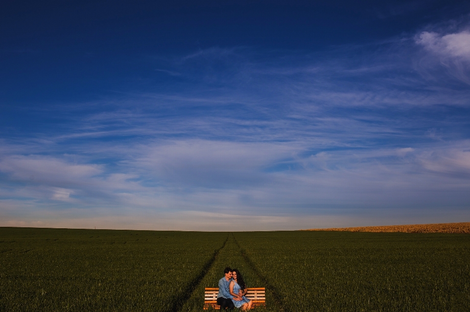 Landscape nature grass horizon