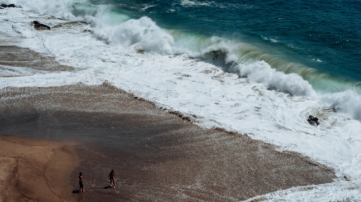 Beach sea coast water Photo