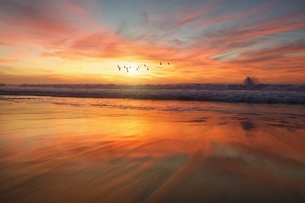 Beach sea coast ocean Photo