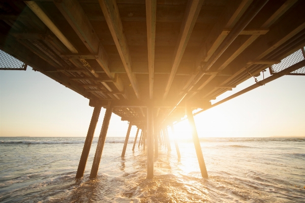 Beach sea water ocean Photo