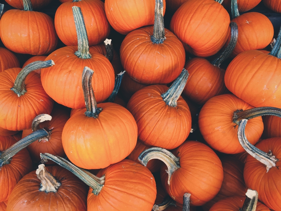 Fall orange produce vegetable