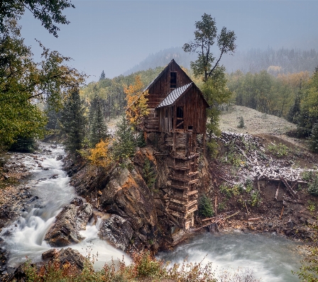 Ağaç su orman şelale Fotoğraf