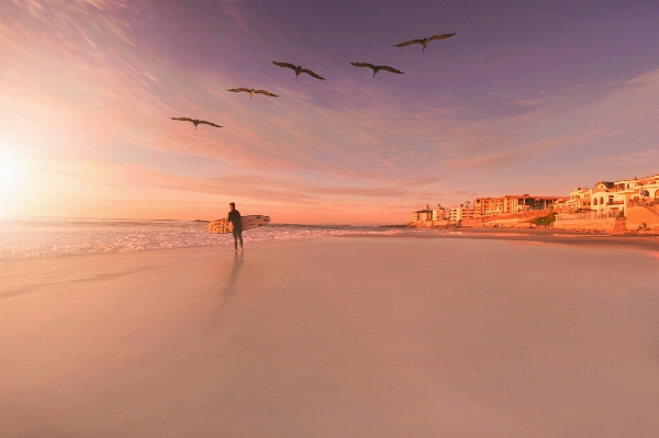 Beach sea coast sand Photo