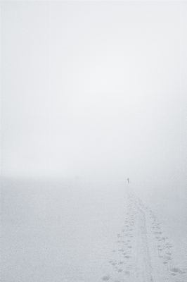 Horizon snow winter black and white Photo