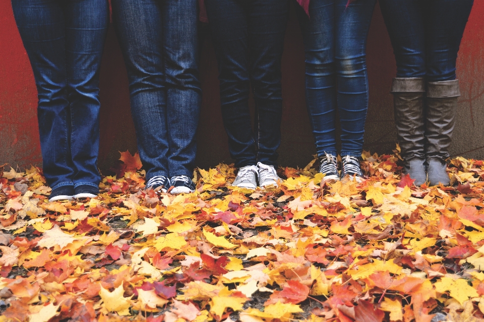 Scarpa foglia autunno fiore