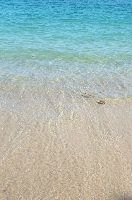 ビーチ 海 海岸 砂