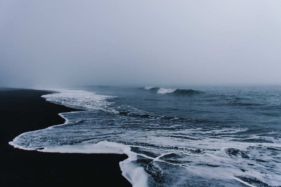 海 海岸 水 海洋